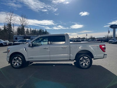 2023 Ford F-150 Platinum